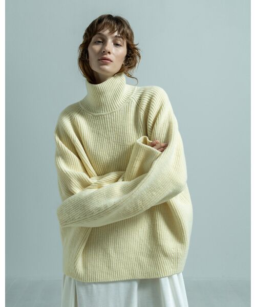 BIYOMA / ビヨーマ ニット・セーター | WOOL RIB KNIT TURTLENECK PULLOVER | 詳細4