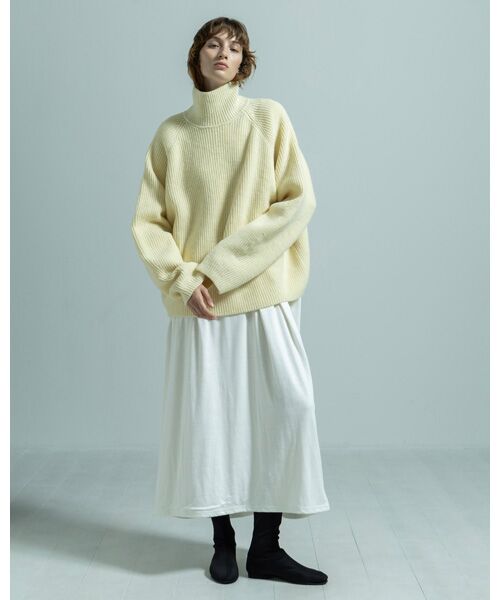 BIYOMA / ビヨーマ ニット・セーター | WOOL RIB KNIT TURTLENECK PULLOVER | 詳細5