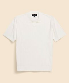 Brooks Brothers / ブルックス ブラザーズ ニット・セーター | ギマコットン　ジョニーカラー　ポロセーター