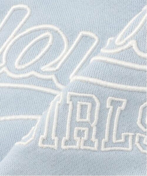 by LOVEiT / バイ ラビット スウェット | ラインリブVネックプルオーバー | 詳細6