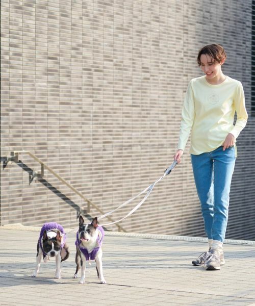 CARA O CRUZ / キャラ・オ・クルス デニムパンツ | 洗える ストレッチデニム【産地ナブル】 | 詳細11