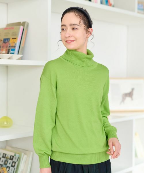 CARA O CRUZ / キャラ・オ・クルス ニット・セーター | 【質感がいい】タートルネックニット【CARIAGGI】 | 詳細1