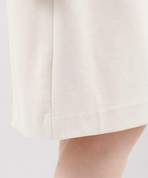 INED CLARO / イネドクラロ ミニ・ひざ丈スカート | 《WEB限定大きいサイズ》ウォッシャブルタイトスカート | 詳細7