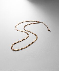 COCOSHNIK ONKITSCH / ココシュニックオンキッチュ ネックレス・ペンダント・チョーカー | シルバー デザインチェーン ライトフラットカーブネックレス（38cm） GP