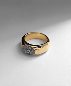 COCOSHNIK ONKITSCH / ココシュニックオンキッチュ リング | シルバー カラーストーン ブラックドルジーアゲート ニュアンスリングL GP