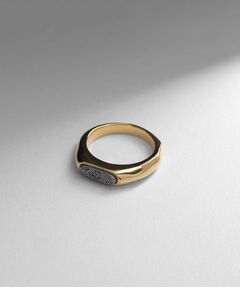 COCOSHNIK ONKITSCH / ココシュニックオンキッチュ リング | シルバー カラーストーン ブラックドルジーアゲート ニュアンスリングS GP