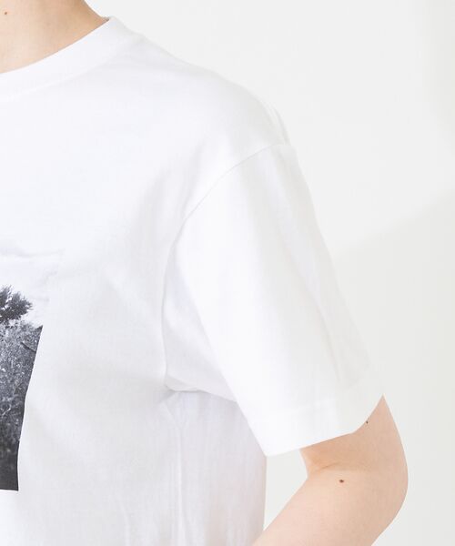 collex / コレックス Tシャツ | フォトプリントTシャツ | 詳細5