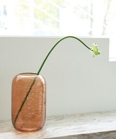 collex / コレックス インテリア・インテリア雑貨 | 【Hubsch/ヒュプシュ】Vase glass L