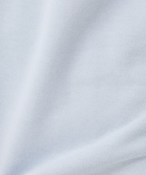 collex / コレックス Tシャツ | ＜手洗い可＞コンパクトミニ裏毛ドルマンスリーブプルオーバー | 詳細13