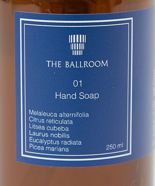 collex / コレックス コスメ | 【THE BALLROOM】 ハンドソープ 250ml | 詳細2