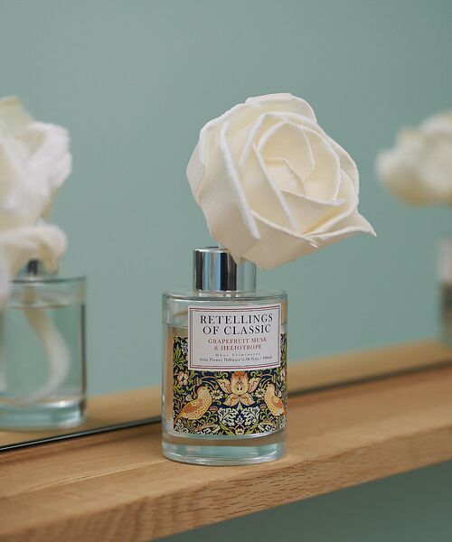 collex/RbNX \t[fBt[U[ 100ml ̑ F