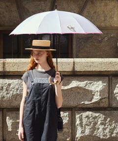 collex / コレックス 傘 | サプリメント 12本骨 雨傘【assa】【WEB限定】