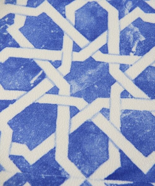 collex / コレックス 食器 | 【COSTA NOVA】エレメンツ（アルガルヴェ）サラダプレート 21.6㎝ | 詳細10