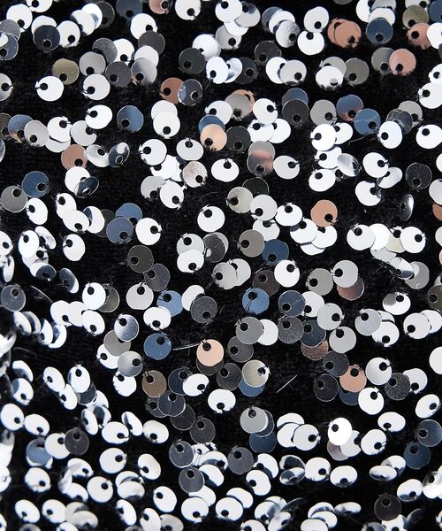 collex / コレックス ショルダーバッグ | 【WEB限定】スパンコール2WAYミニトートバッグ | 詳細13