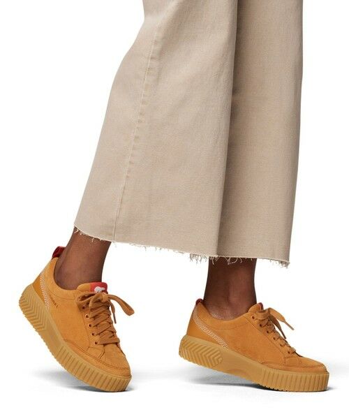 Columbia/コロンビア SOREL/ オーエヌエーアベニューロウスニーカー /ソレル Canyon Gold、 Gum 16 24.0cm Columbia/コロンビア SOREL/ オーエヌエーアベニューロウスニーカー /ソレル Canyon Gold、 Gum 16 24.0cm