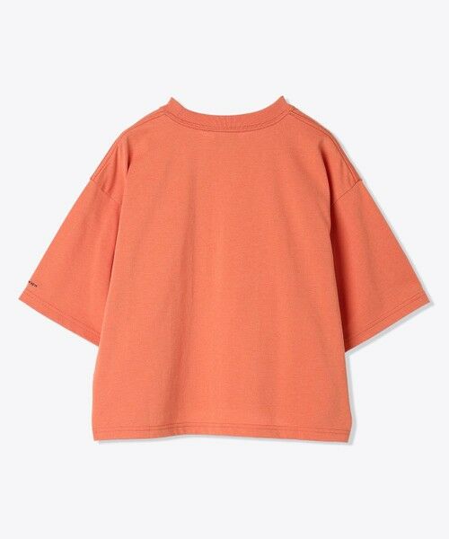 Columbia / コロンビア Tシャツ | Columbia/ ウィメンズサンダーマウンテンショートスリーブTシャツ /コロンビア | 詳細8