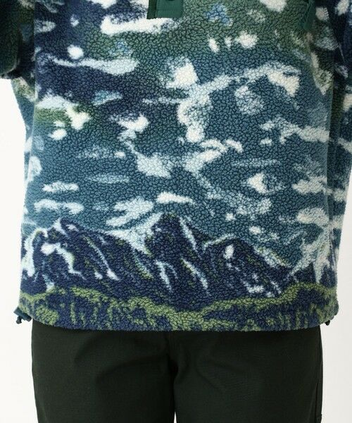 Columbia / コロンビア その他トップス | Columbia/ ウィメンズヘルベチアII プリントクロップドハーフスナップフリース /コロンビア | 詳細15