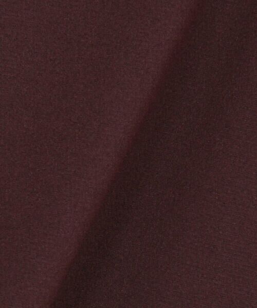 COMME CA COMFORT / コムサ・コンフォート（Lサイズ） カットソー | 〔 TALLサイズ 〕 ソフトチュール×ウーリー分繊トリコット広巾 プルオーバー | 詳細22