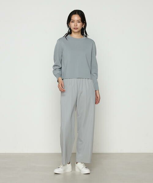 COMME CA COMFORT / コムサ・コンフォート（Lサイズ） その他パンツ | 〔 +サイズ 〕 ハイテンションポンチ ワイドパンツ | 詳細1