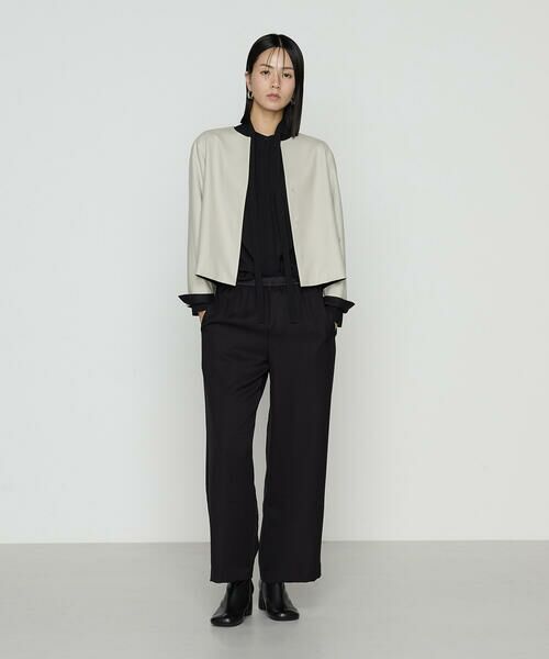 COMME CA COMFORT / コムサ・コンフォート(Lサイズ) その他パンツ | 〔 +サイズ 〕 パウダーツイルストレッチ ワイドパンツ | 詳細1