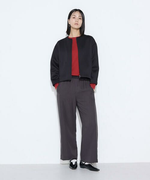 COMME CA COMFORT / コムサ・コンフォート(Lサイズ) その他パンツ | 〔 +サイズ 〕 パウダーツイルストレッチ ワイドパンツ | 詳細17