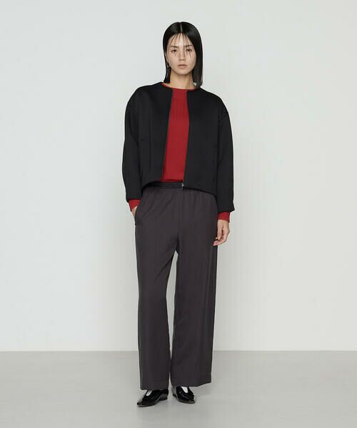 COMME CA COMFORT / コムサ・コンフォート(Lサイズ) その他パンツ | 〔 +サイズ 〕 パウダーツイルストレッチ ワイドパンツ | 詳細8