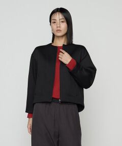 COMME CA COMFORT / コムサ・コンフォート（Lサイズ） ブルゾン | 〔 TALLサイズ 〕 ダブルエアーダンボール ノーカラーブルゾン