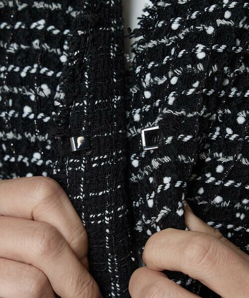 COMME CA COMFORT / コムサ・コンフォート（Lサイズ） ベスト | 〔 TALLサイズ 〕 ファンシーツイード キーネックカラージレ | 詳細11