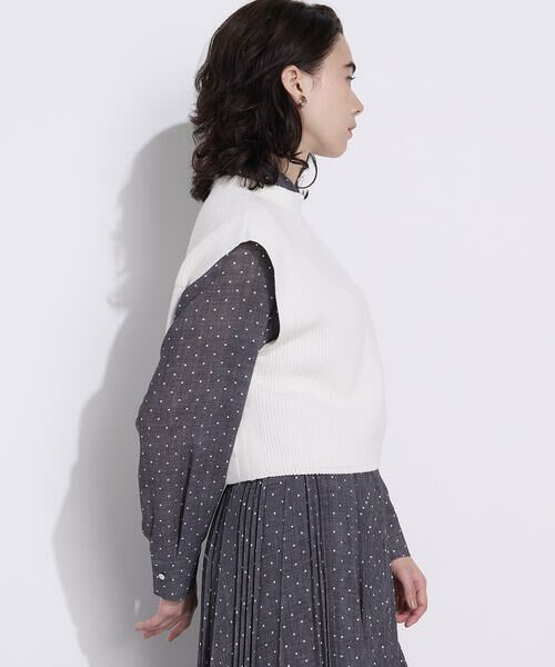 COMME CA COMFORT / コムサ・コンフォート（Lサイズ） ニット・セーター | 〔 TALLサイズ 〕 コットンポリエステルリリヤーン 前後切り替えベスト | 詳細5