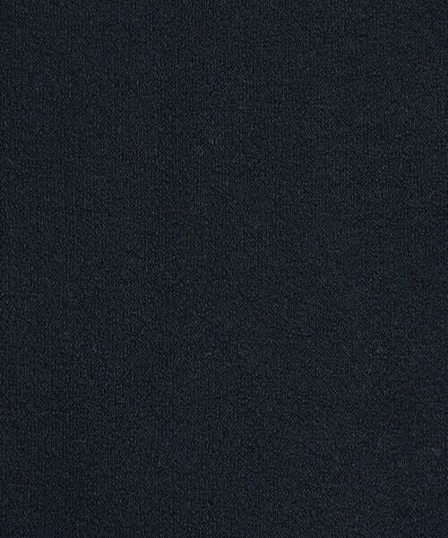 COMME CA PLATINUM / コムサ・プラチナ ストッキング・タイツ・その他 | 80デニール タイツ | 詳細4