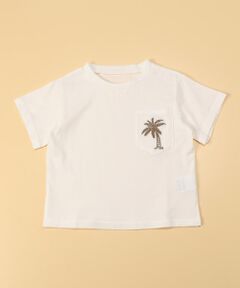 コットン天竺 メッシュＴシャツ