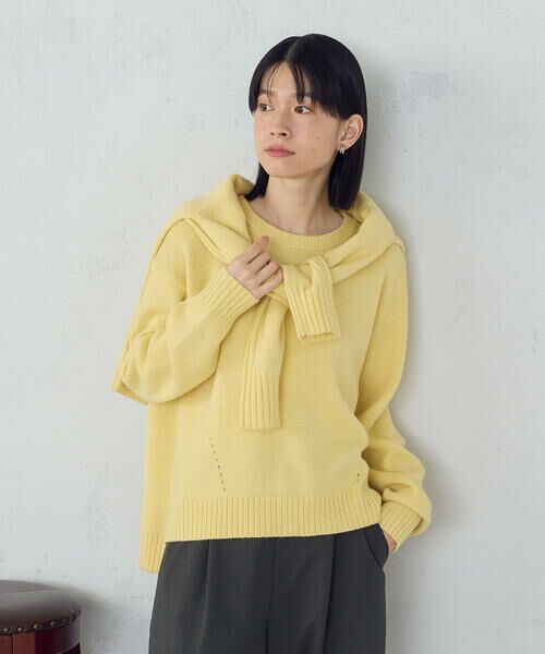 COMME CA ISM / コムサイズム ニット・セーター | 【ウォッシャブル】日本の色 クルーネックニット(蒸栗色(イエロー))