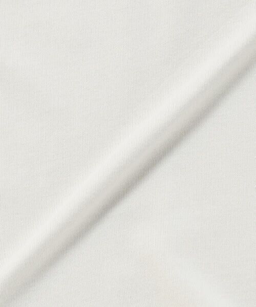 COMME CA ISM / コムサイズム Tシャツ | “にっぽんの色” 長袖 Tシャツ | 詳細1