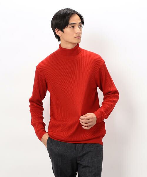 COMME CA ISM / コムサイズム ニット・セーター | 日本の色 リブタートルニット | 詳細11