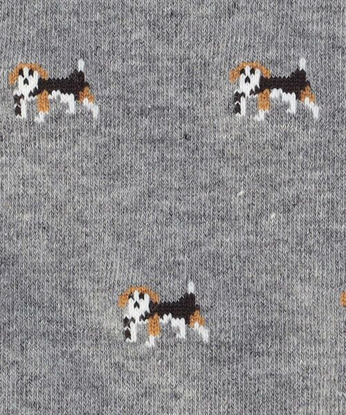 COMME CA ISM / コムサイズム ソックス | ポインター柄 ソックス | 詳細1