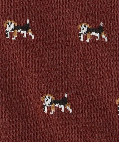 COMME CA ISM / コムサイズム ソックス | ポインター柄 ソックス | 詳細2