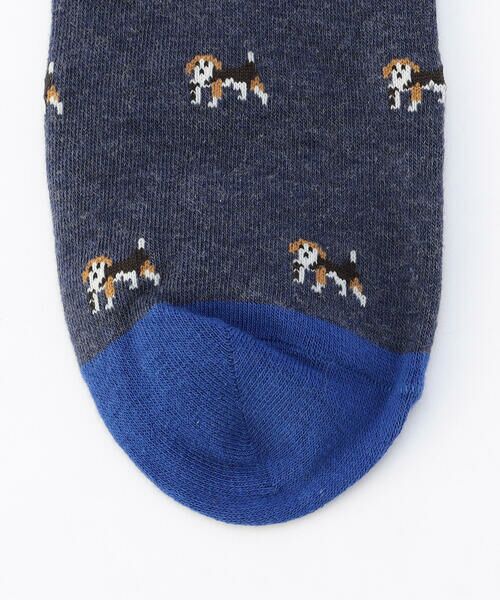 COMME CA ISM / コムサイズム ソックス | ポインター柄 ソックス | 詳細5