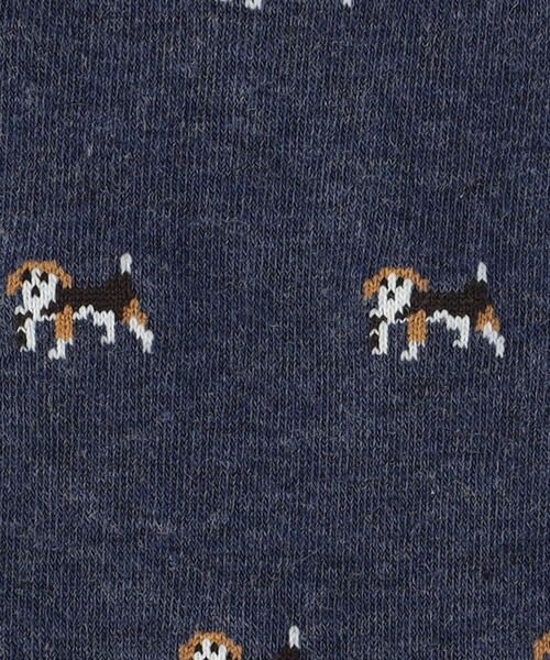 COMME CA ISM / コムサイズム ソックス | ポインター柄 ソックス | 詳細6