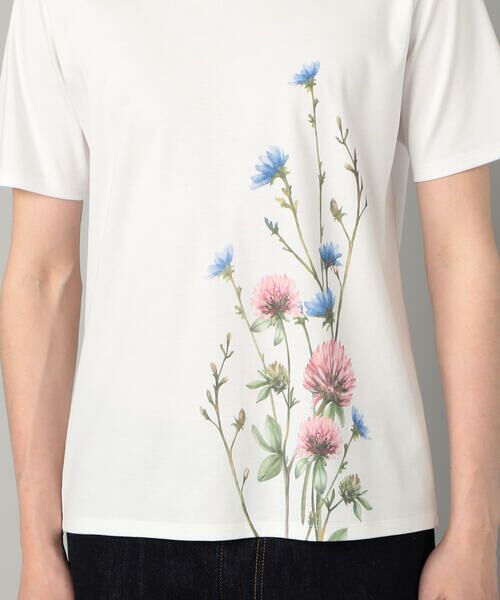 COMME CA MEN / コムサ・メン Tシャツ | ヤグルマギクプリント  Tシャツ | 詳細11