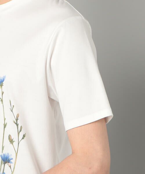 COMME CA MEN / コムサ・メン Tシャツ | ヤグルマギクプリント  Tシャツ | 詳細9