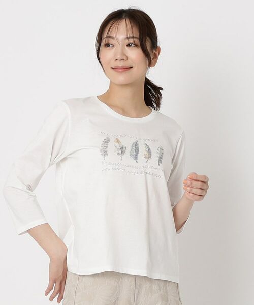 CORDIER / コルディア カットソー | 【M～4Lサイズ】アルビニジャージ 刺繍デザインプルオーバー | 詳細7