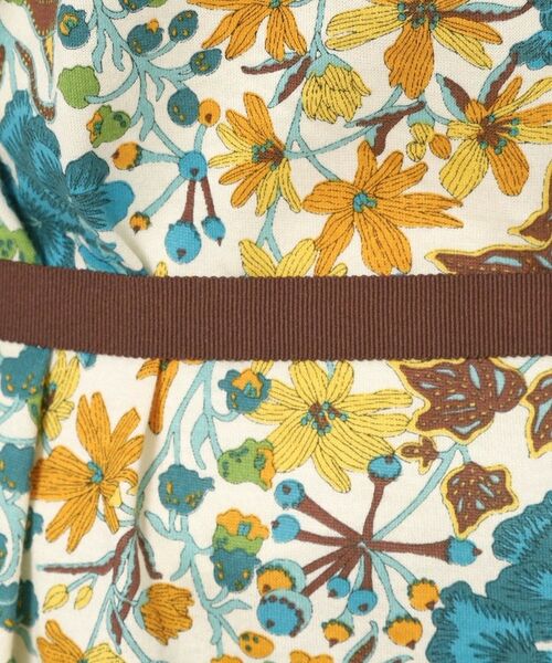 CORDIER / コルディア ミニ丈・ひざ丈ワンピース | 【リバティ/M~4Lサイズ/洗える】エドナ Aラインワンピース | 詳細19