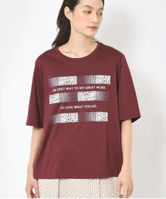 CORDIER / コルディア カットソー | 【M～4Lサイズ】アルビニスムース プリントTシャツ