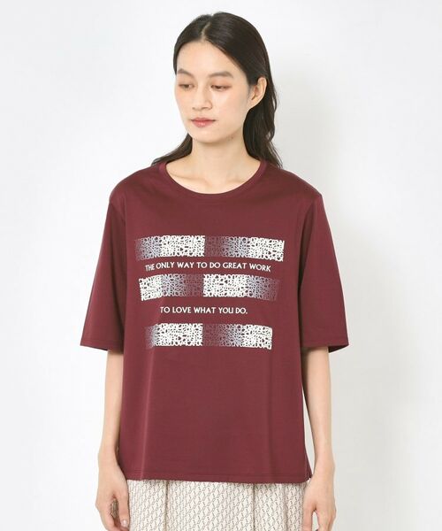 CORDIER / コルディア カットソー | 【M～4Lサイズ】アルビニスムース プリントTシャツ | 詳細1