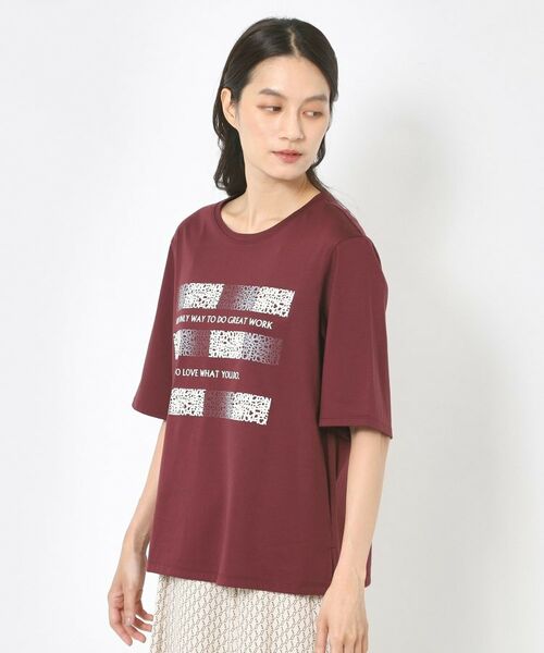 CORDIER / コルディア カットソー | 【M～4Lサイズ】アルビニスムース プリントTシャツ | 詳細19