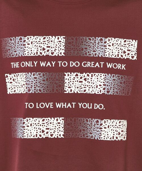 CORDIER / コルディア カットソー | 【M～4Lサイズ】アルビニスムース プリントTシャツ | 詳細22