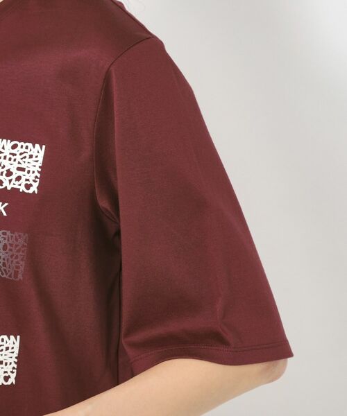 CORDIER / コルディア カットソー | 【M～4Lサイズ】アルビニスムース プリントTシャツ | 詳細5