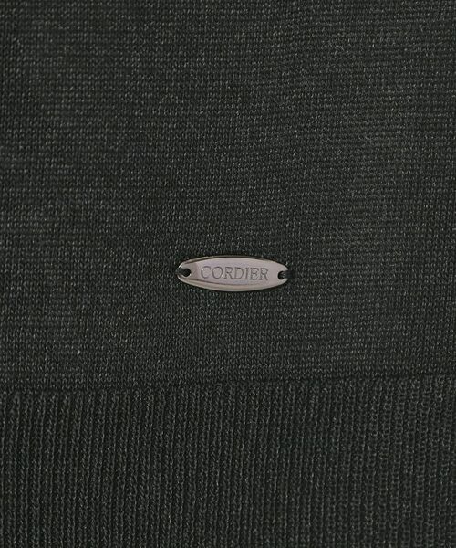 CORDIER / コルディア ニット・セーター | 【洗える／アンサンブル】DEBUSSY上品艶ラメニットプルオーバー | 詳細10