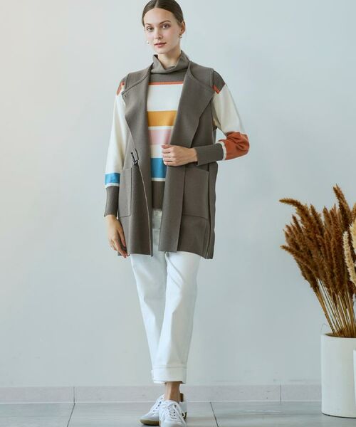 CORDIER / コルディア ニット・セーター | 【M～4Lサイズ】スーパーメリノマルチボーダープルオーバーニット | 詳細30