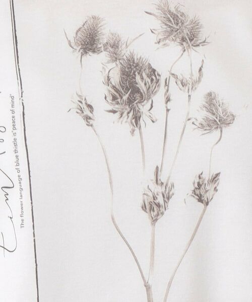 CORDIER / コルディア カットソー | 【M～4Lサイズ】フラワーフォトTシャツ | 詳細10